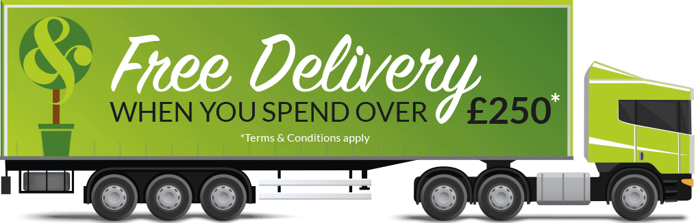 Free Delivery